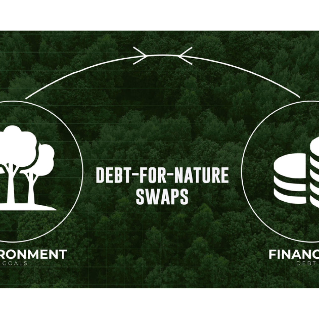 Debt-for-Climate Swaps in Kenya