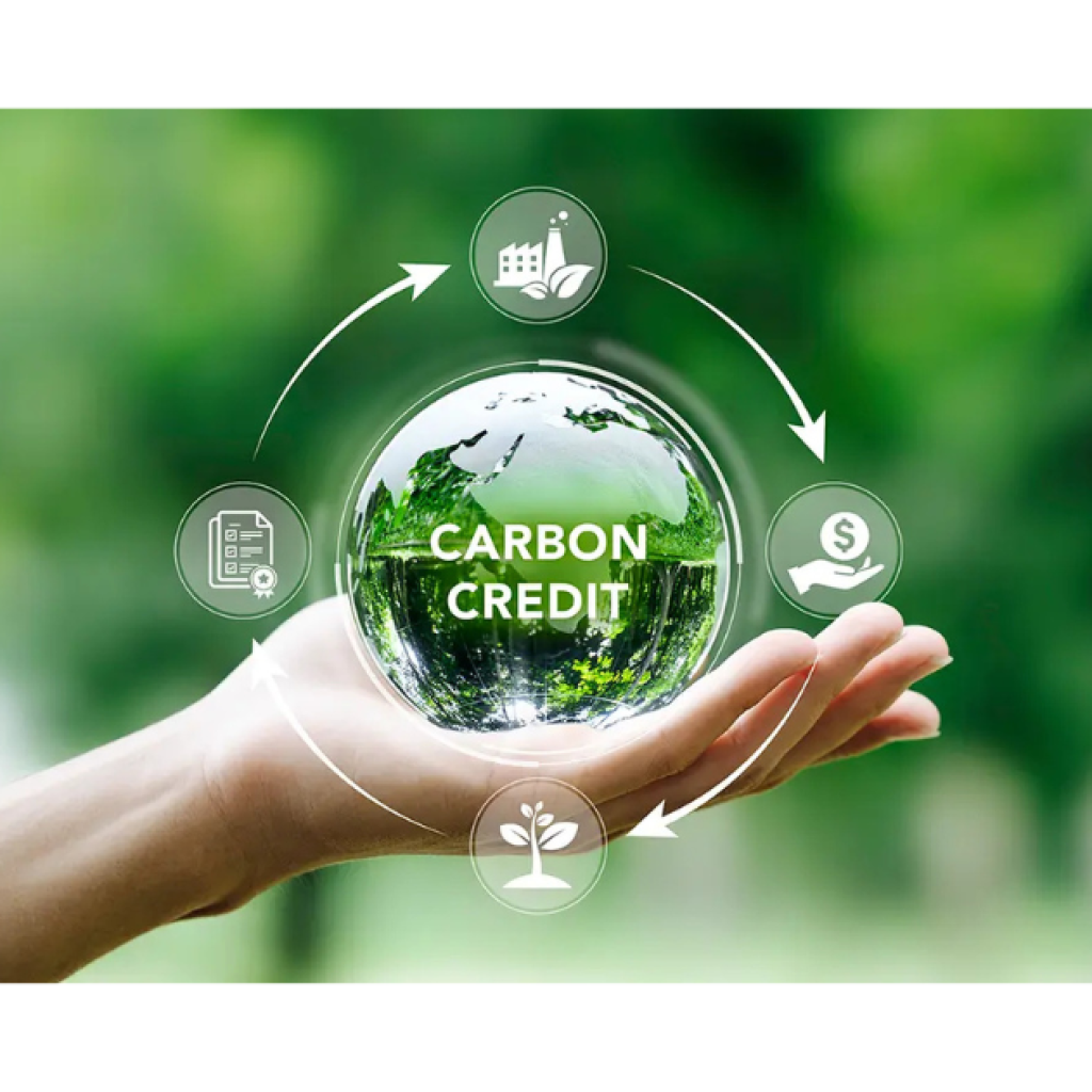 Fraud risks in carbon markets and mitigation strategies