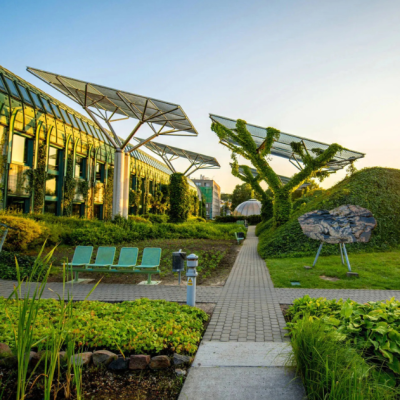 Integrating Global Digital Transformation and Green Innovation
