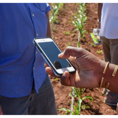 Adoption of index-based insurance and how it supports farmers in Kenya