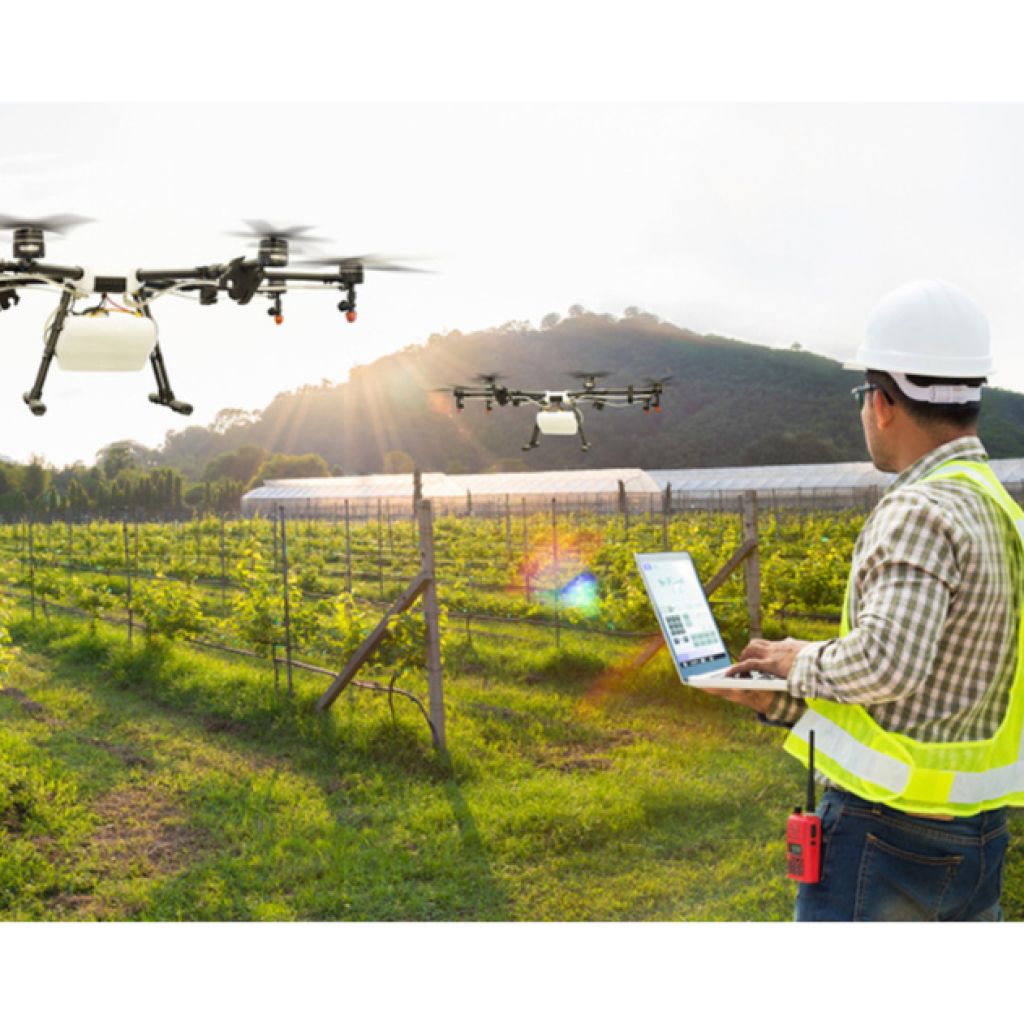 Innovative agri-tech startups addressing food security challenges in Kenya