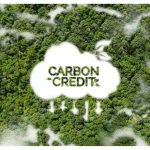Kenya’s Carbon Credit Ambitions and the Way Forward