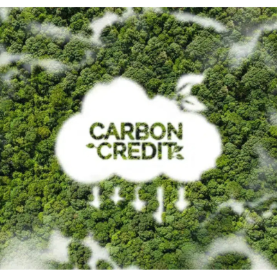 Kenya’s Carbon Credit Ambitions and the Way Forward