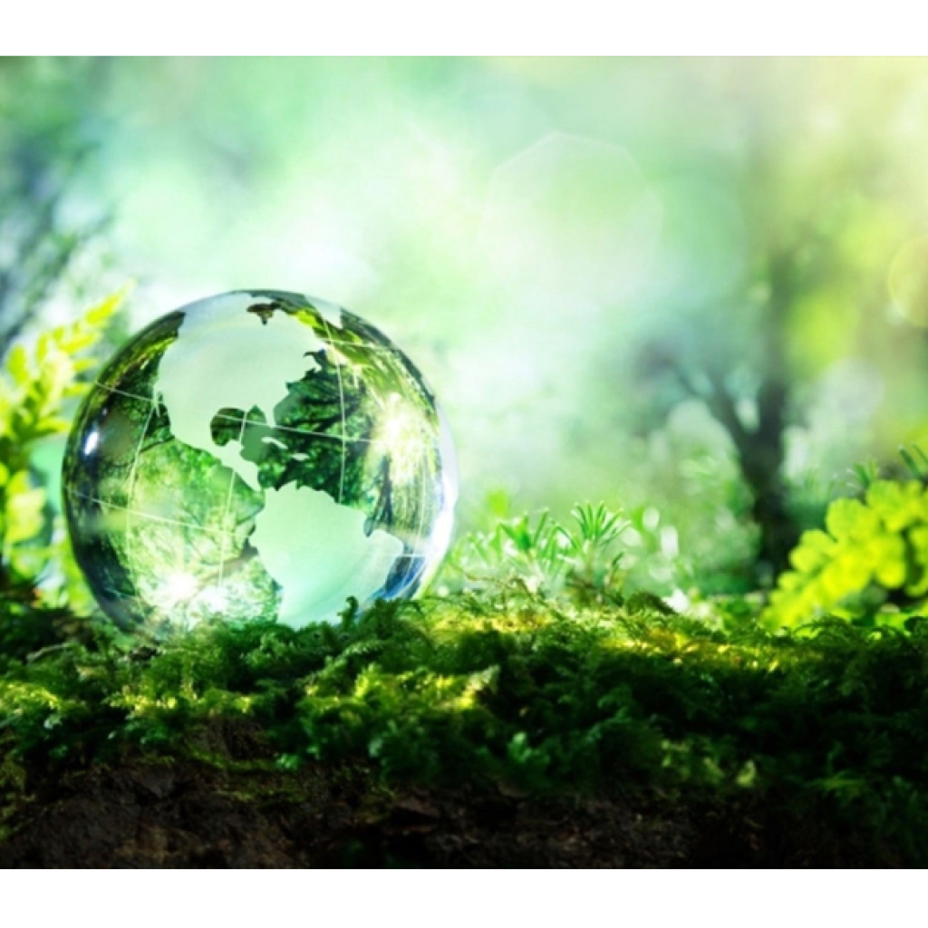 Kenya’s Climate Shift: Clean Energy, Carbon Markets & ESG Developments