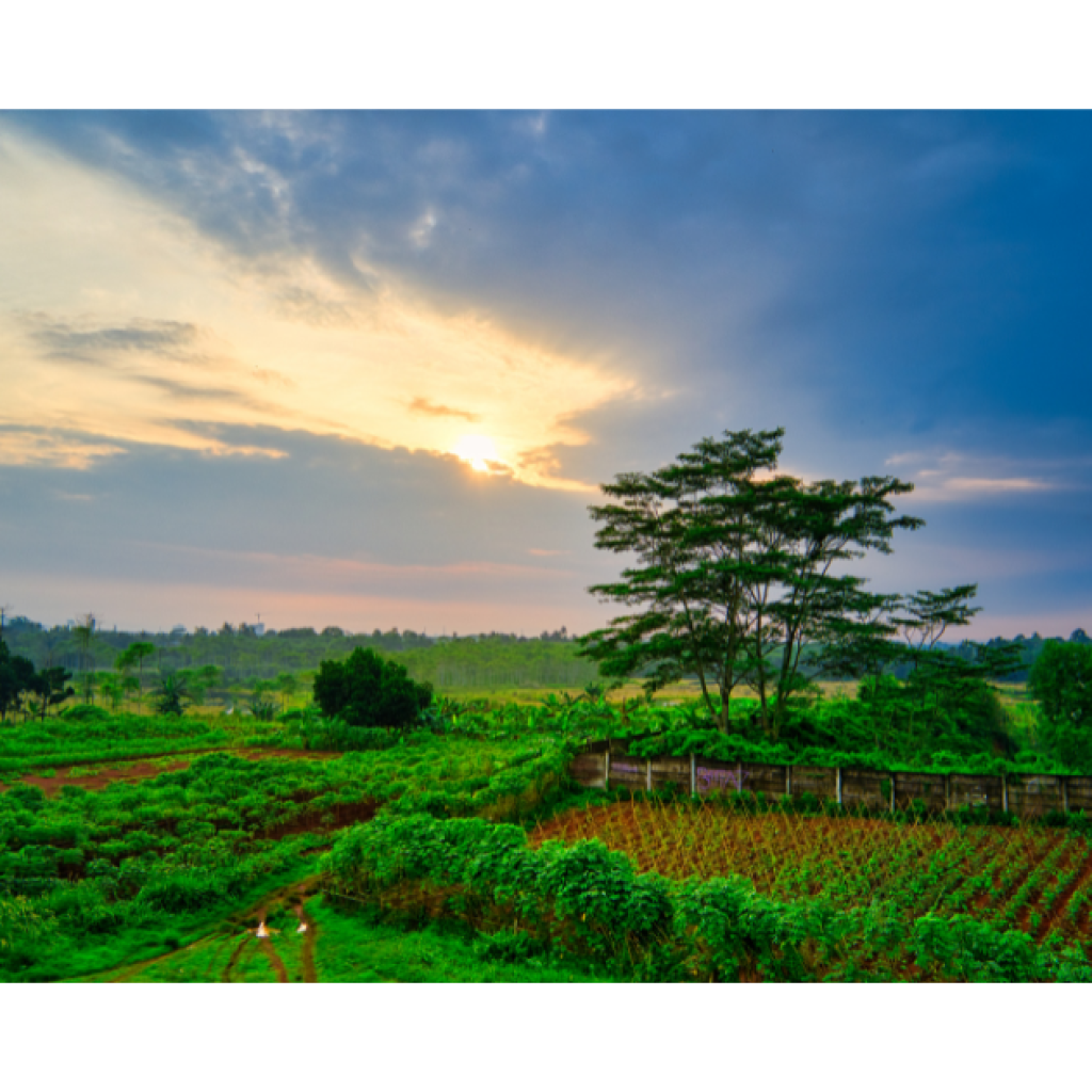 Climate-Smart Farming