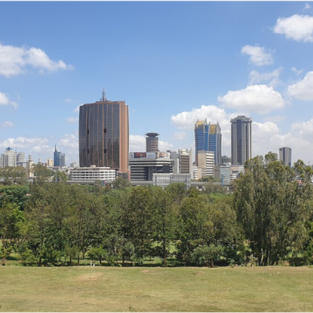Kenya's economic policies and initiatives