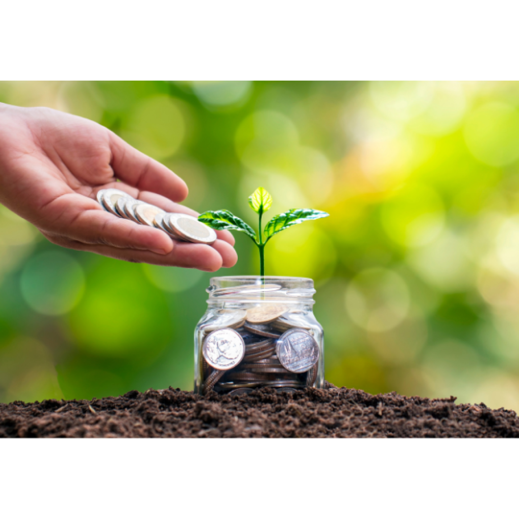 Smart Irrigation Solutions and Their ROI for Kenyan Farmers