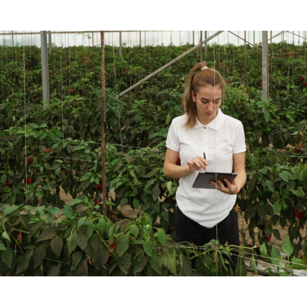 Tech Solutions for Farmers in Rural Kenya