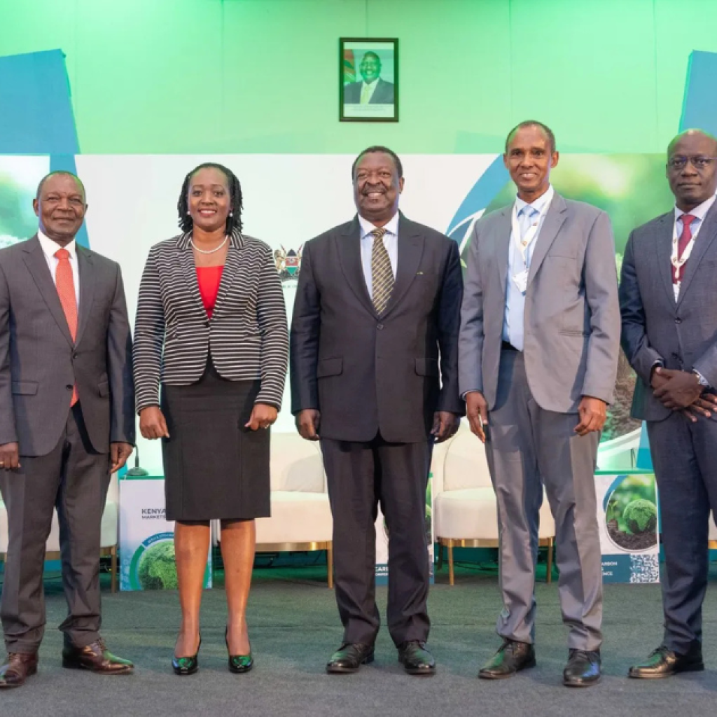 KENYA'S CARBON MARKET REVOLUTION